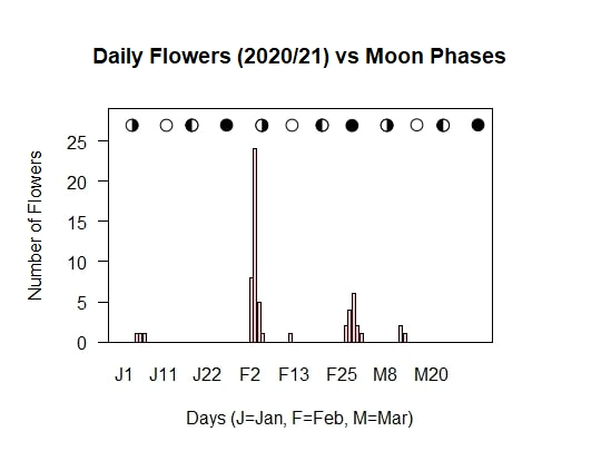 Flowers vs Moon Phases